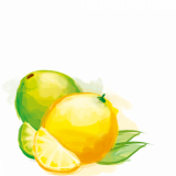 Fruit Citron Principal